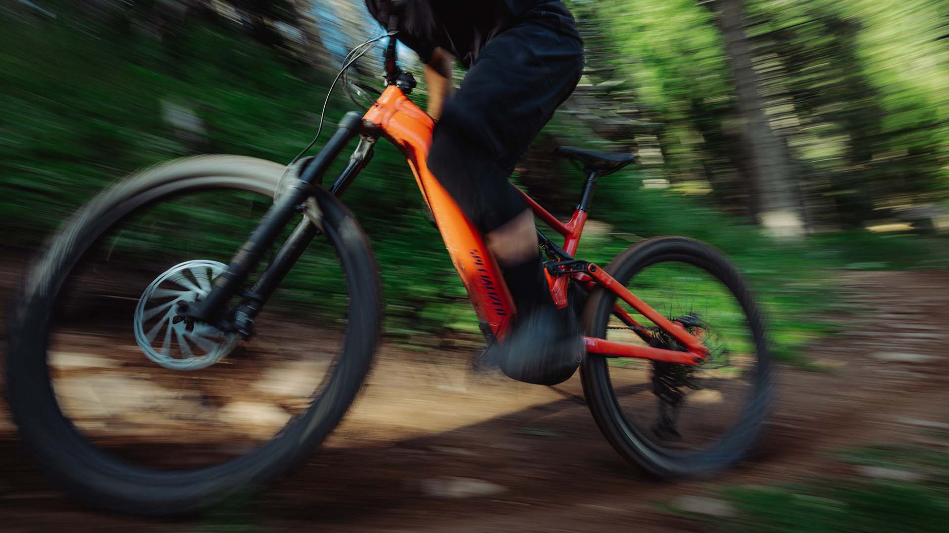 bike_shop_atlanta_with_specialized_bikes_for_sale.jpg