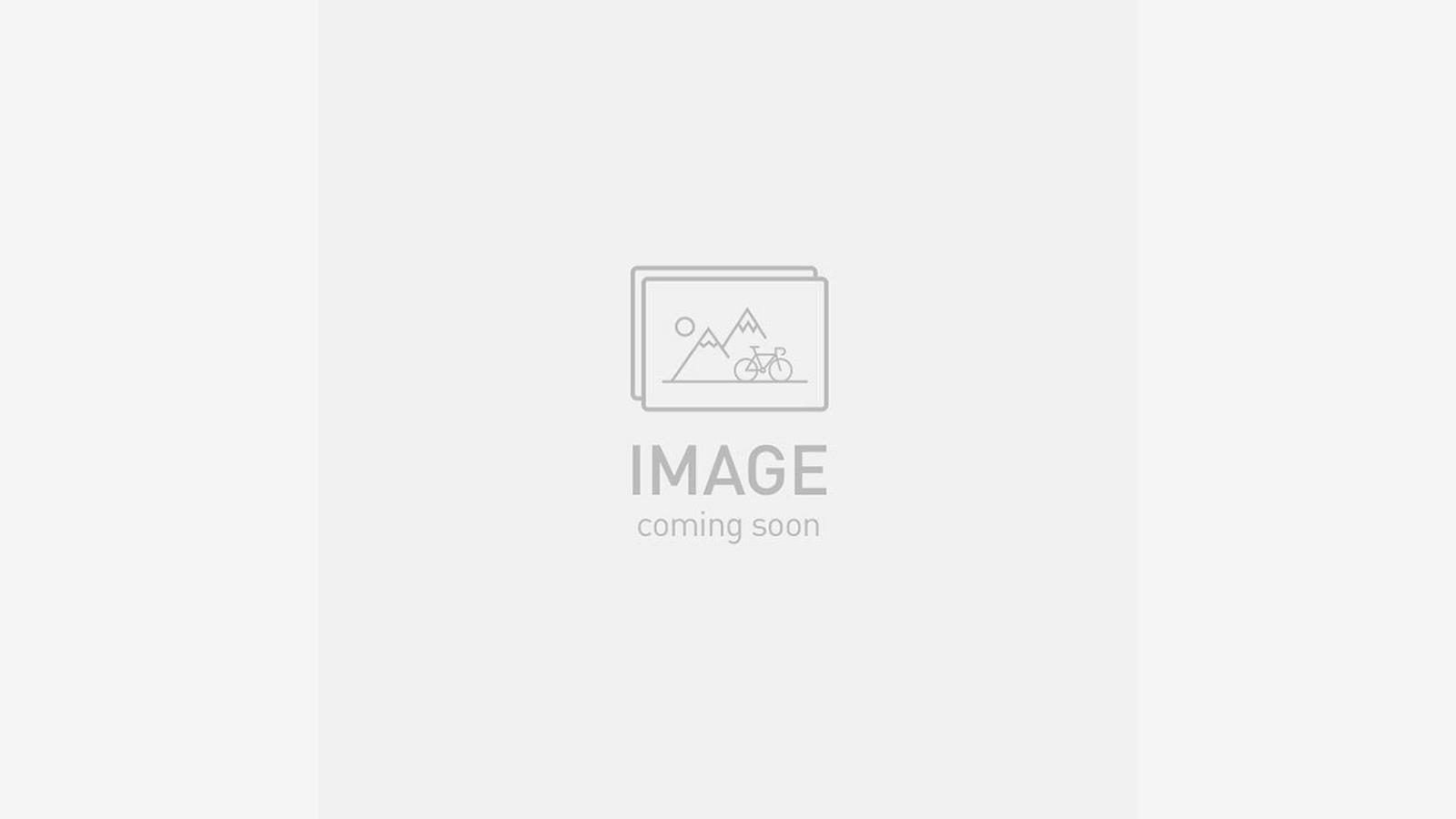 ROCKHOPPER EXPERT SILDST/BNTGLDMET XXL - 29 FOR SALE NEAR ME