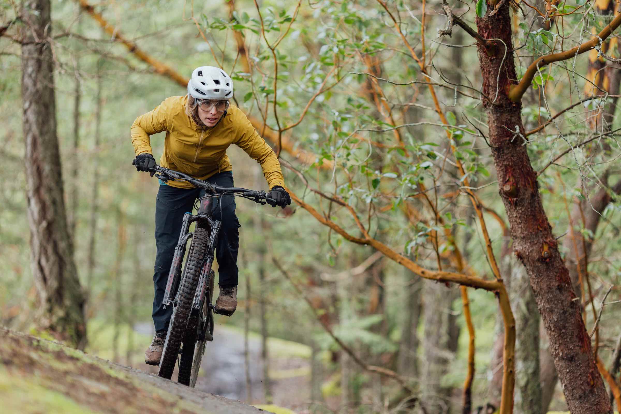 atlanta_bike_shop_specialized_levo_sl_buyers_guide.jpg