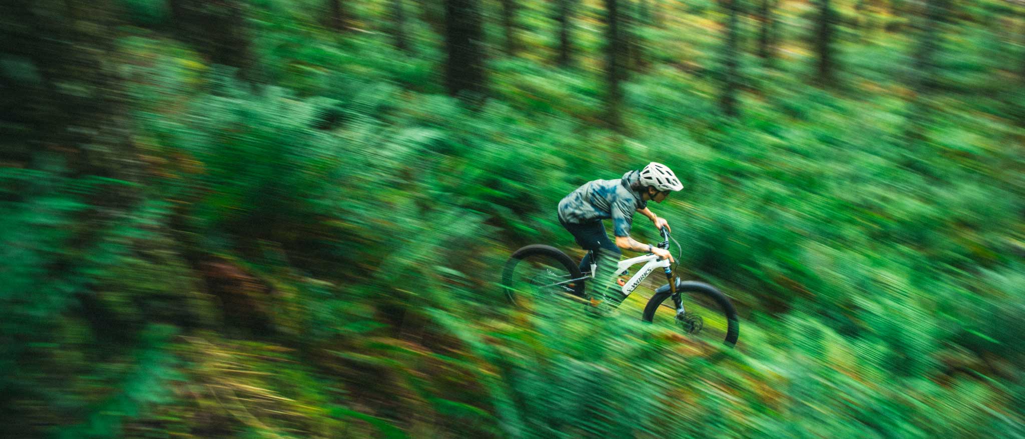 motion-makers-bike-shop-asheville-sylva-north-carolina-specialized.jpg
