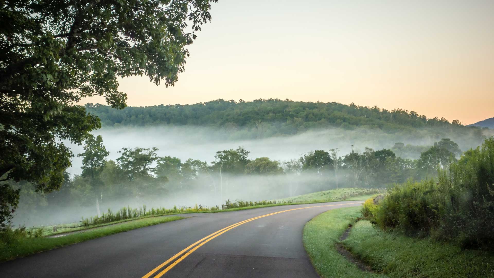Motion Makers Bike Shop Asheville & Sylva Bike Shops